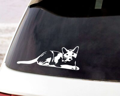 Kitten Vinyl Decal