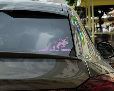 Kitten Vinyl Decal