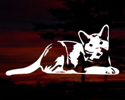 Kitten Vinyl Decal