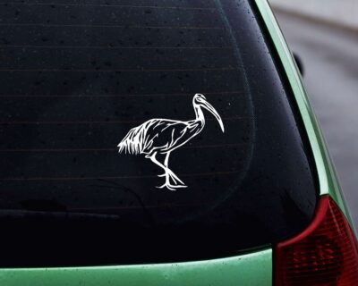 Ibis Decal - Evoke Decals