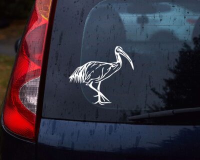 Ibis Decal - Evoke Decals