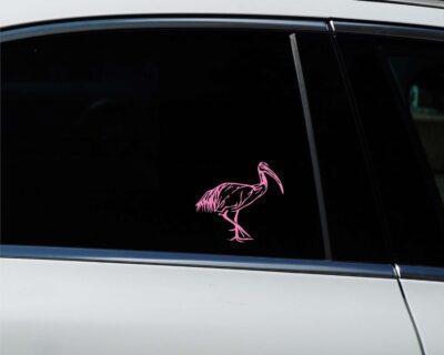 Ibis Decal - Evoke Decals