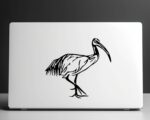Ibis Decal - Evoke Decals