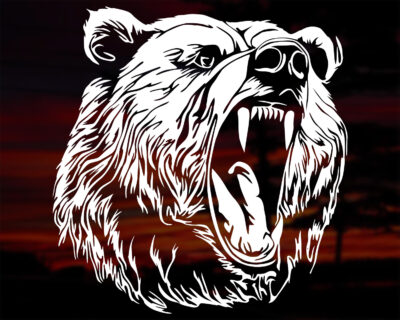 Bear Decal - Evoke Decals