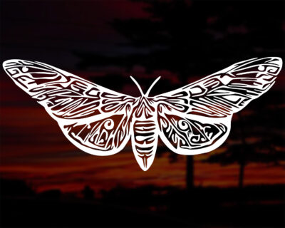 Moth Decal - Evoke Decals