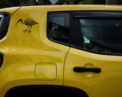 An artistic silhouette of an Ibis, also commonly known in Australia as the iconic Bin Chicken.