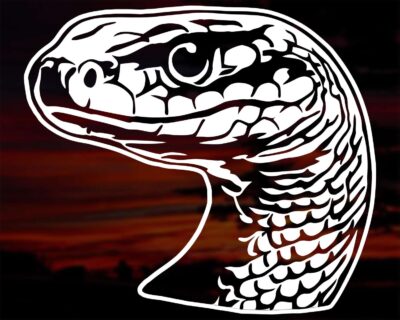 Silhouette of a snake's head with realistic detailed scales and beady eyes