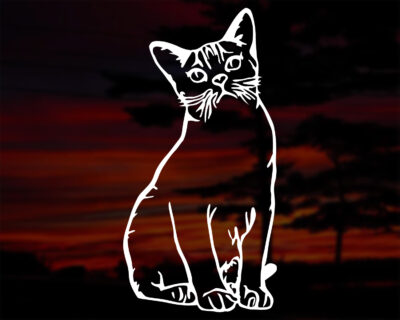 Cat Decal - Evoke Decals