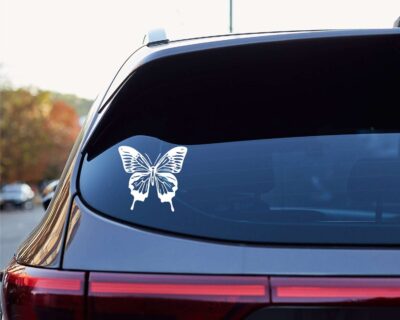 Beautiful Ulysses Butterfly with a full wing span