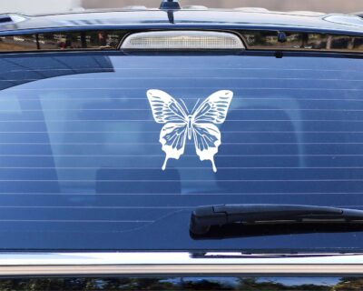 Beautiful Ulysses Butterfly with a full wing span