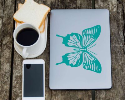 Beautiful Ulysses Butterfly with a full wing span