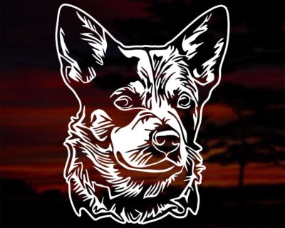 Australian Blue Heeler aka Cattle Dog Decal - Evoke Decals