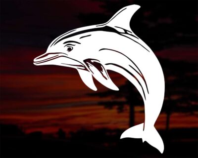 Silhouette of a sweet Bottlenose dolphin