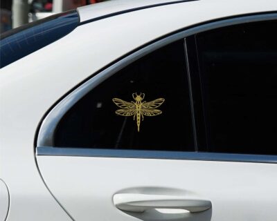 A dragonfly displaying its wings fully extended, revealing the intricate details on each wing.