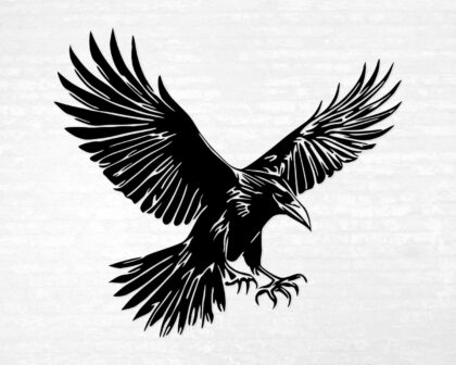 Striking black silhouette vinyl decal of a raven in mid-flight, wings spread wide and talons extended.