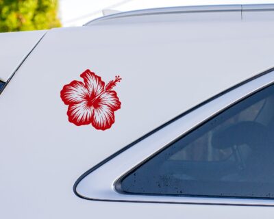 Hibiscus flower, featuring five large rounded petals with textured detail and smooth edges, a prominent central stamen extending outward, and small detailed anthers. The bold design captures the tropical beauty and distinct shape of the hibiscus blossom.