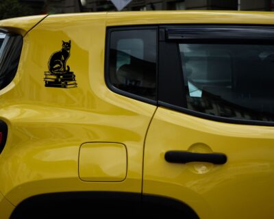 Vinyl decal of a cat sitting gracefully on a stack of books, rendered in a bold silhouette style.